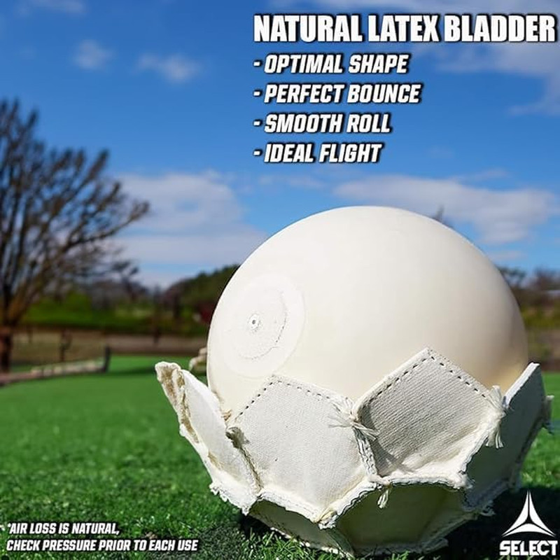 Blaze DB Soccer Ball gallery