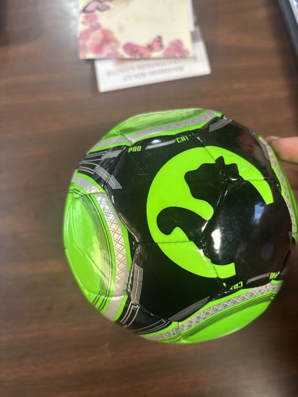 Puma Official ProCat Mini Soccer Ball Collectible Football Fan Souvenir Training