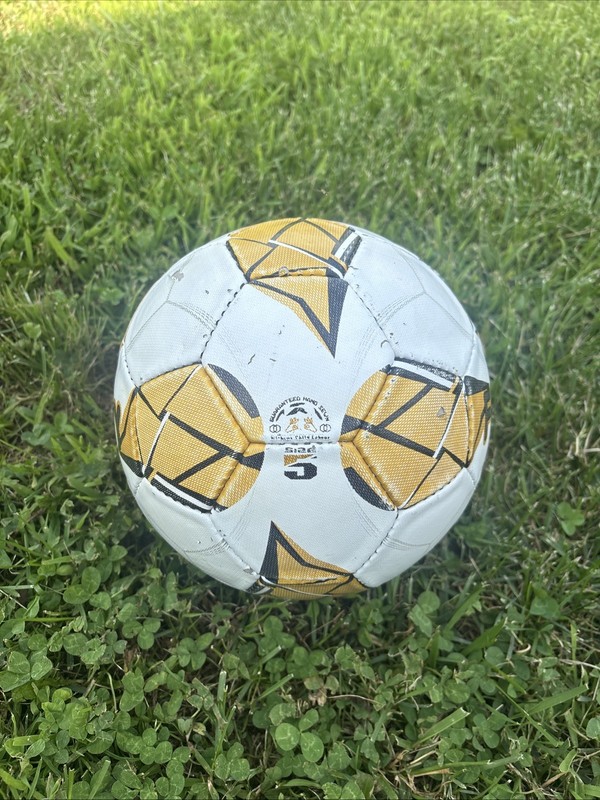 Footy - Size 5 Leather Soccer Ball - Professional Youth Training Ball gallery