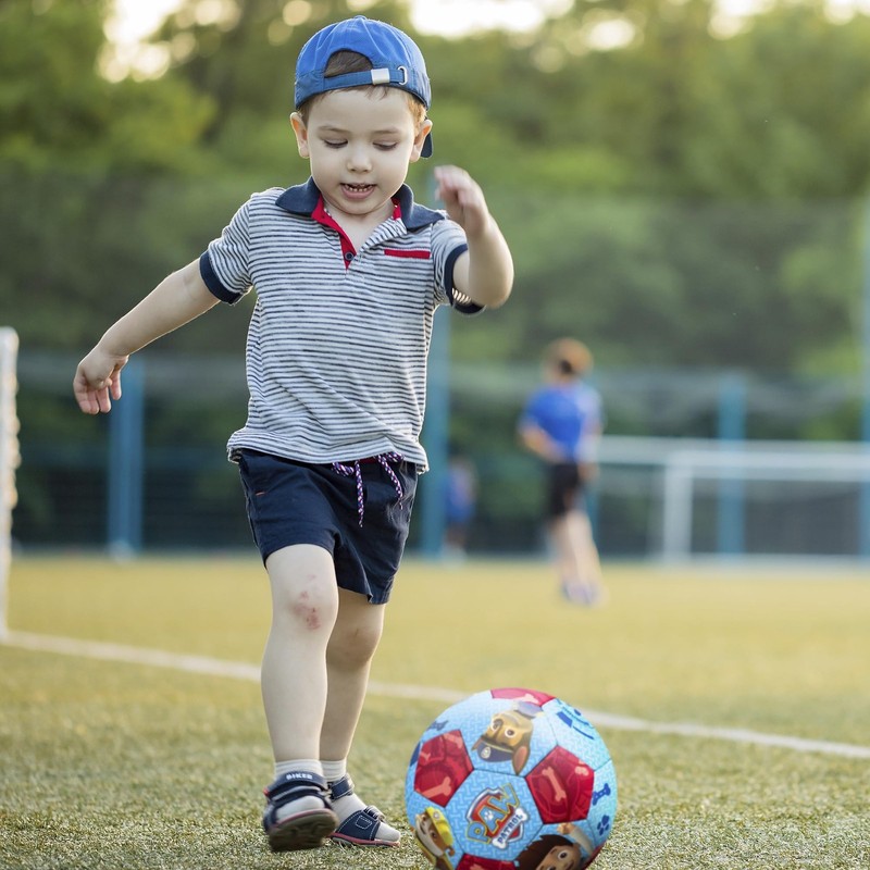 Paw Patrol Jr. Soccer Ball, 7 Inch (53-63884AZ) gallery