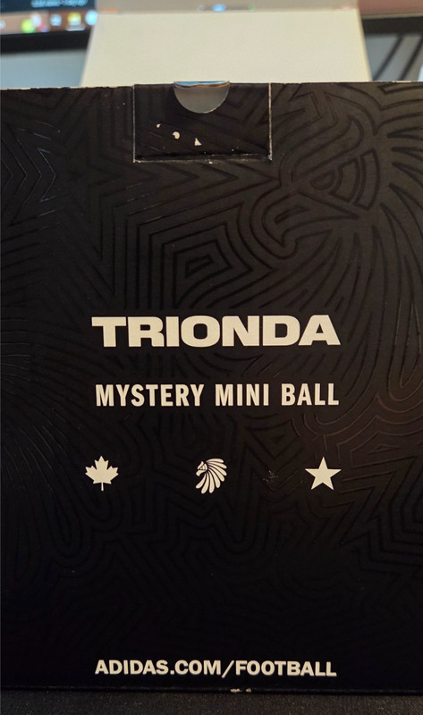 Adidas FIFA World Cup 2026 Trionda Mystery Mini Ball SEALED Sport Chek NEW