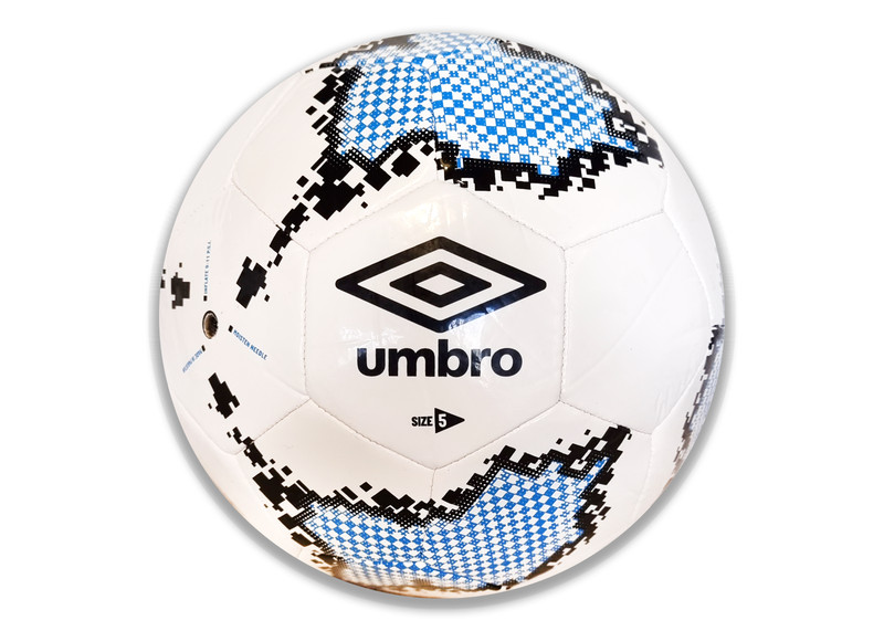 MASTER THE BASICS: The Perfect Training Ball for Beginners & Beyond!