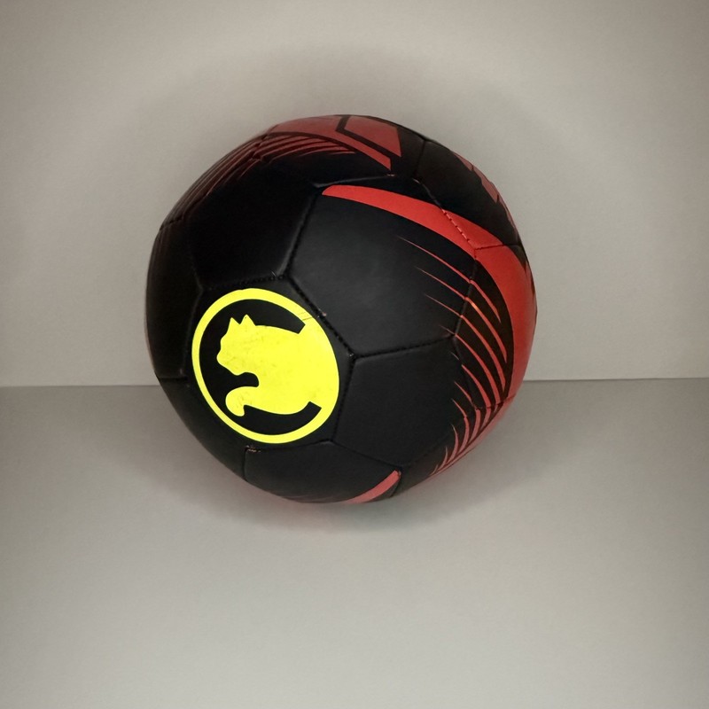 Puma Procat Training Soccer Balls Size 5