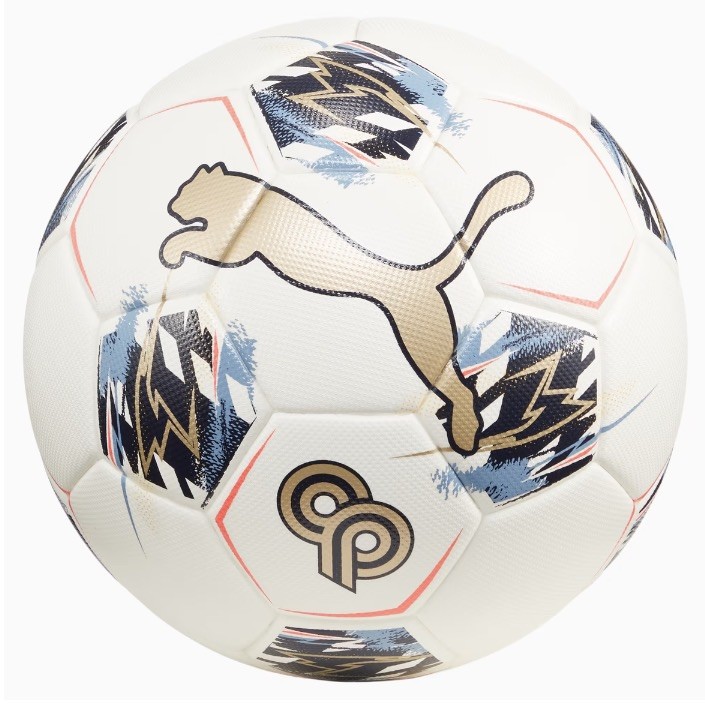 Christian Pulisic PUMA Performance Balls Size 5 Brand New