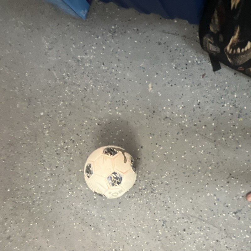 adidas White & Black Panel Pattern Soccer Ball for Soccer Training and Practice