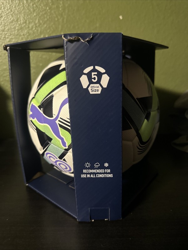 Christian Pulisic PUMA Performance Ball Size 5 Brand New gallery