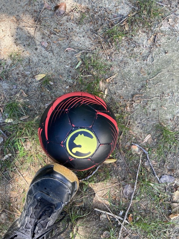 Procat Soccer Ball Official Size 5 Black and Red