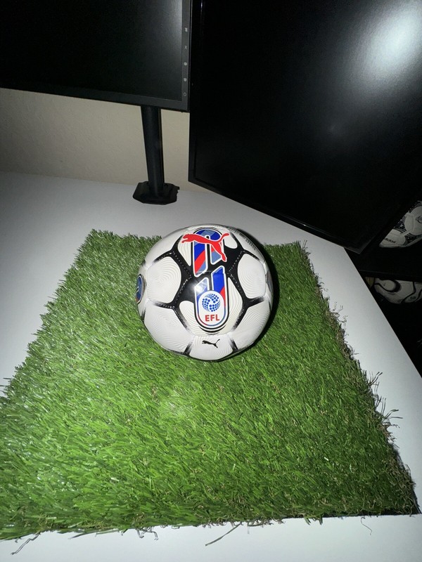 Puma EFL Mini Ball