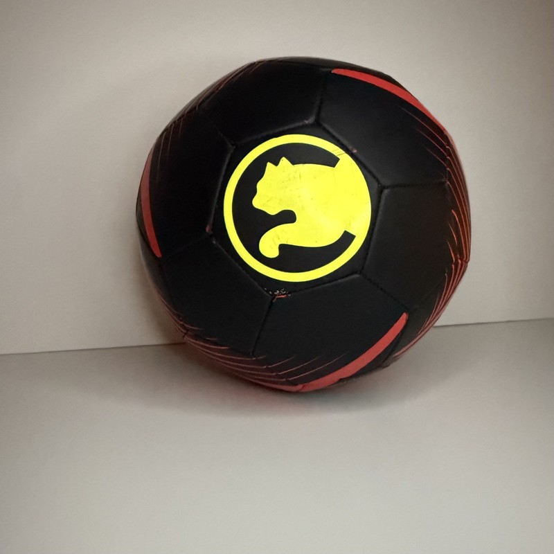 Puma Procat Training Soccer Balls Size 5 gallery