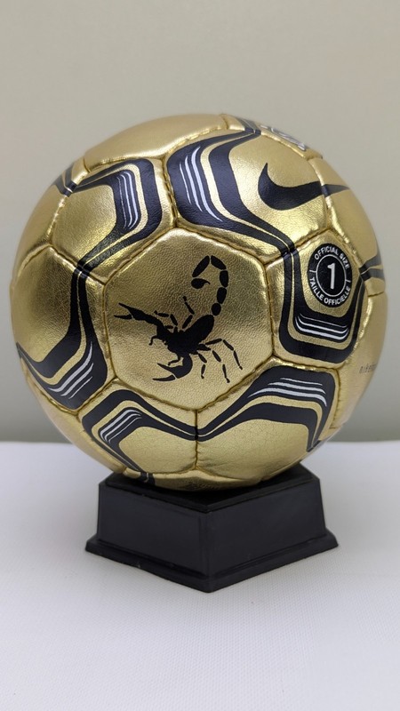 MiNi Nike Chrome Roteiro Silver/Gold Size 1 Hand Stitched Soccer Balls gallery