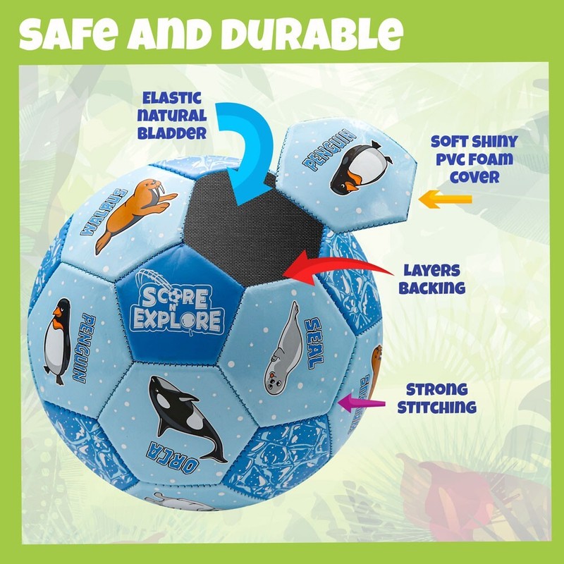 Score N' Explore Children's Learning Development Soccer Ball ARCTIC Explorer gallery