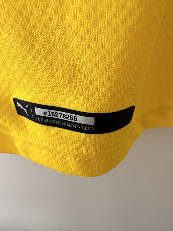 Borussia Dortmund BVB Matchworn Jersey Bundesliga 2019/2020 Giovanni Reyna gallery