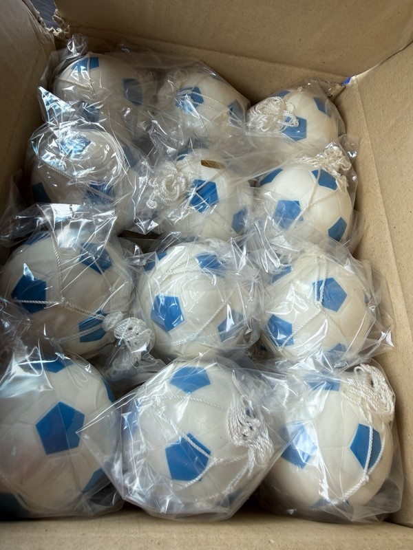 Blue White Mini soccer Balls In String Nets Box Of 24 World Cup Football Mip