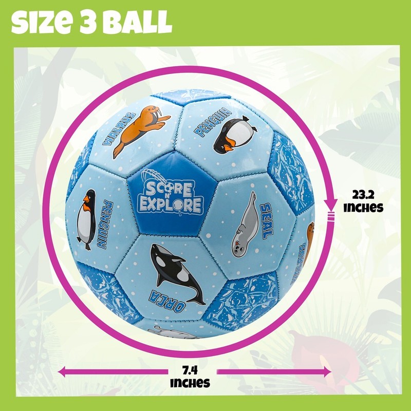 Score N' Explore Children's Learning Development Soccer Ball ARCTIC Explorer gallery