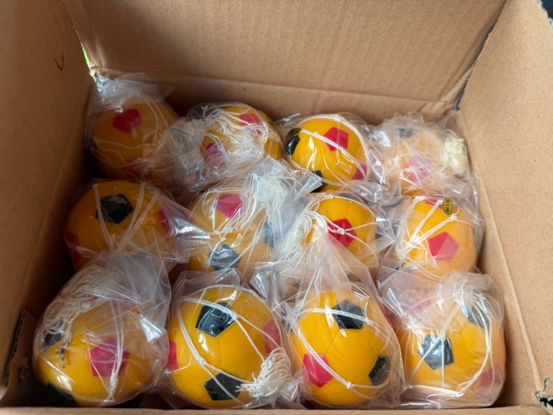 Germany German Mini soccer Balls In String Nets Box Of 24 World Cup Football Mip