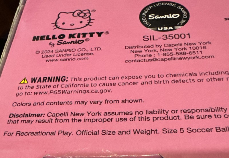 Pink Hello Kitty Fruit Soccer Ball Size 5 Indoor/Outdoor Pro-Quality Control 13+ gallery
