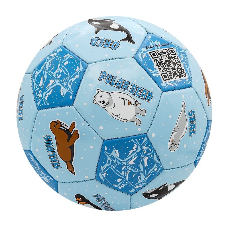 Score N' Explore Children's Learning Development Soccer Ball ARCTIC Explorer gallery